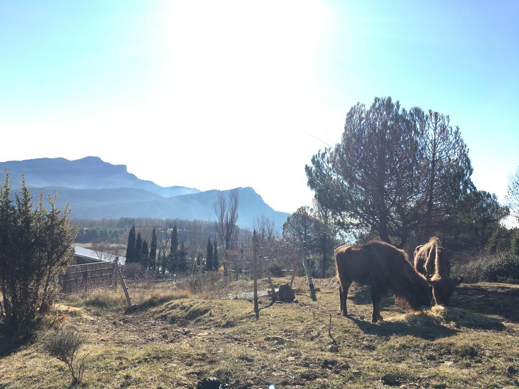 El Jou Nature Sant Corneli Exterior photo