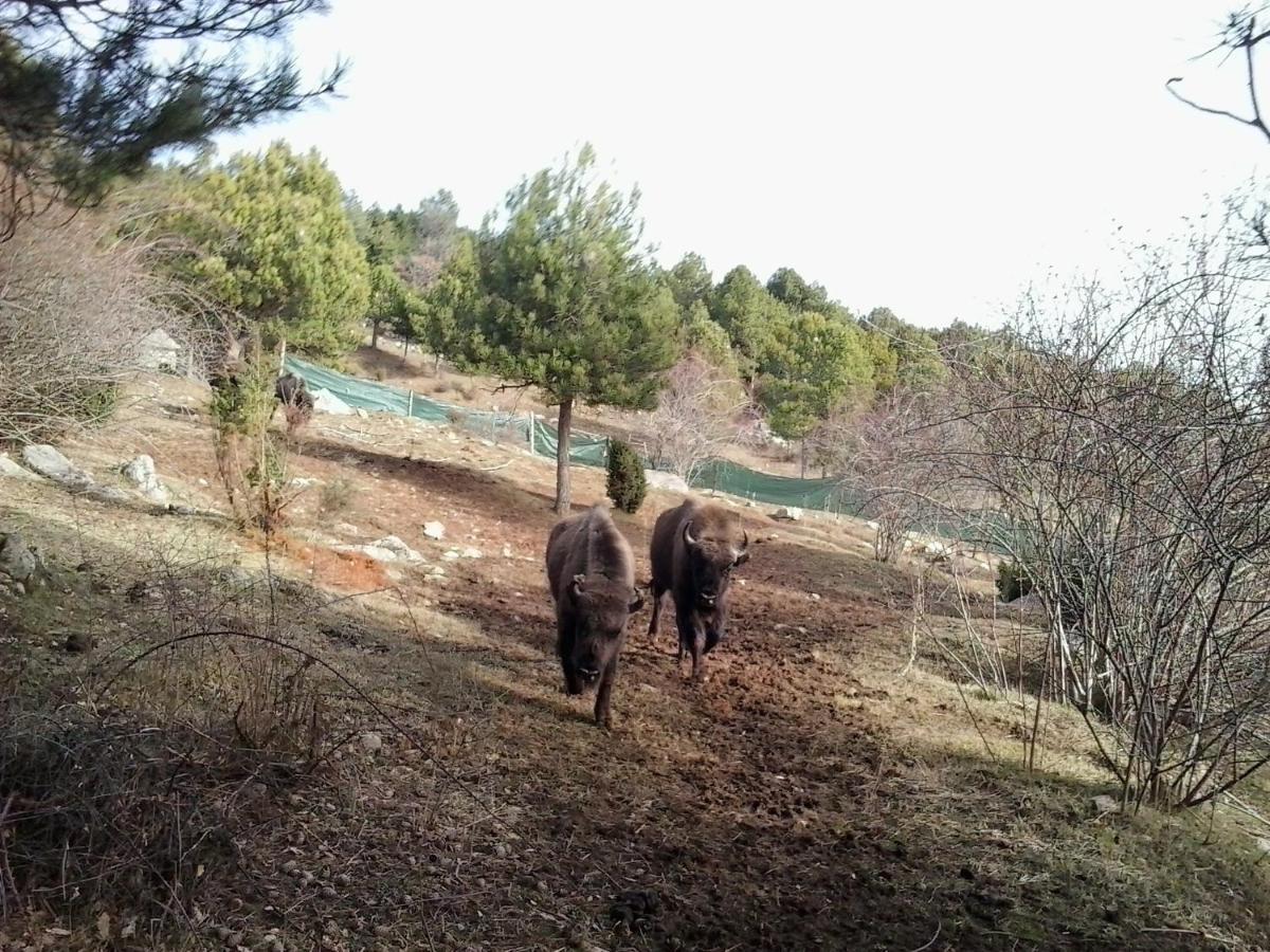 El Jou Nature Sant Corneli Exterior photo